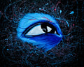 the observer-original